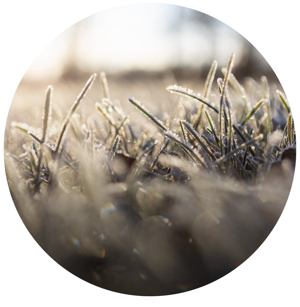 Chilly Days: Everyday layers